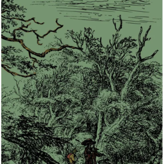 Ashmore Herald [Printed Book + PDF]